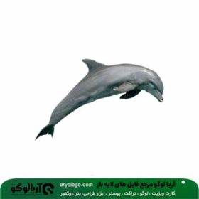 وکتور png دلفین کد 89