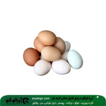 وکتور png تخم مرغ کد 26