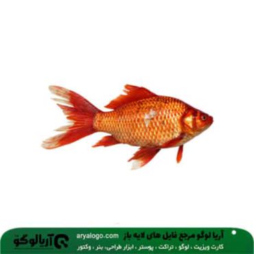 وکتور png ماهی عید کد 220