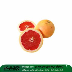 وکتور png پرتقال خونی کد 117