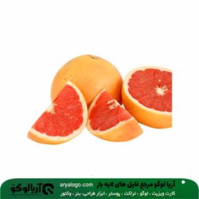 وکتور png پرتقال خونی کد 119