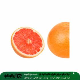 وکتور png پرتقال خونی کد 120