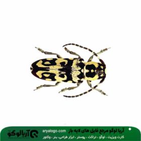 وکتور png حشرات کد 13