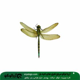 وکتور png حشرات کد 27