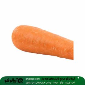 وکتور png سبزیجات کد 31
