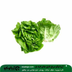 وکتور png سبزیجات کد 61