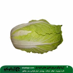 وکتور png سبزیجات کد 214