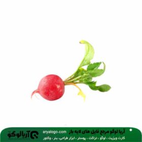وکتور png سبزیجات کد 285
