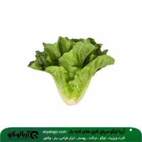 وکتور png سبزیجات کد 298