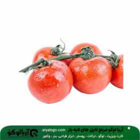 وکتور png گوجه فرنگی کد 329
