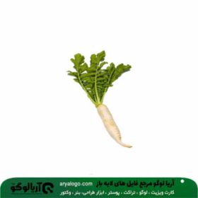 وکتور png سبزیجات کد 342