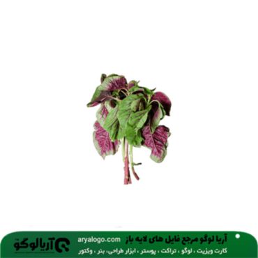 عکس png سبزیجات کد 10
