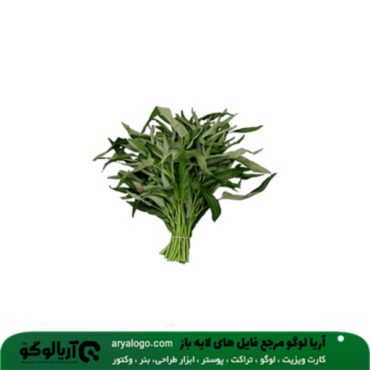 عکس png سبزیجات کد 11