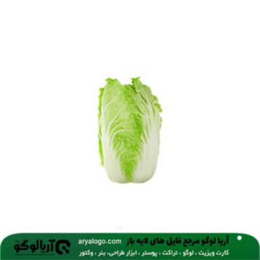 عکس png سبزیجات کد 12