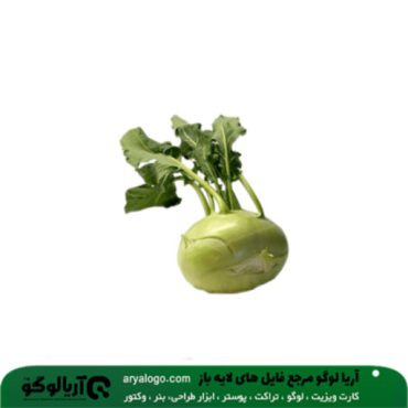 عکس png سبزیجات کد 13