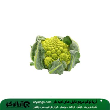 عکس png سبزیجات کد 16