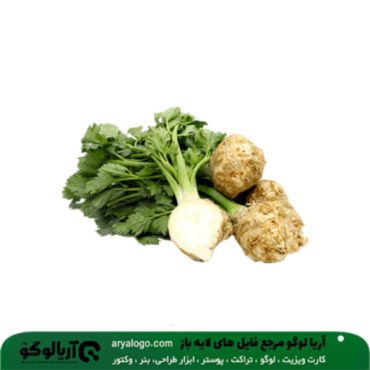 عکس png سبزیجات کد 18