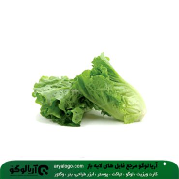 عکس png سبزیجات کد 103