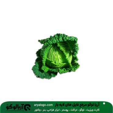 عکس png سبزیجات کد 104