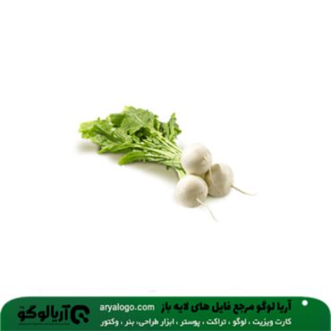 عکس png سبزیجات کد 106