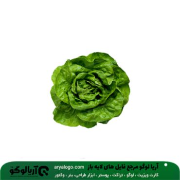 عکس png سبزیجات کد 113