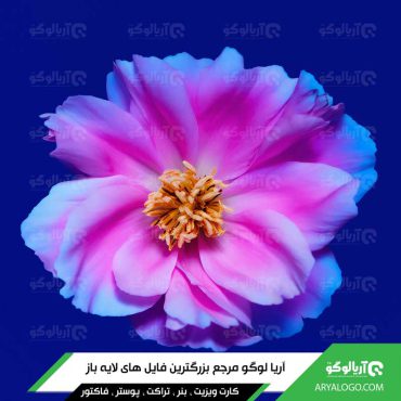 عکس گل با کیفیت 4K کد 155